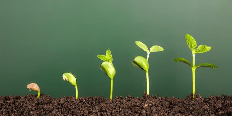 Growing a new product through multiple upgrades